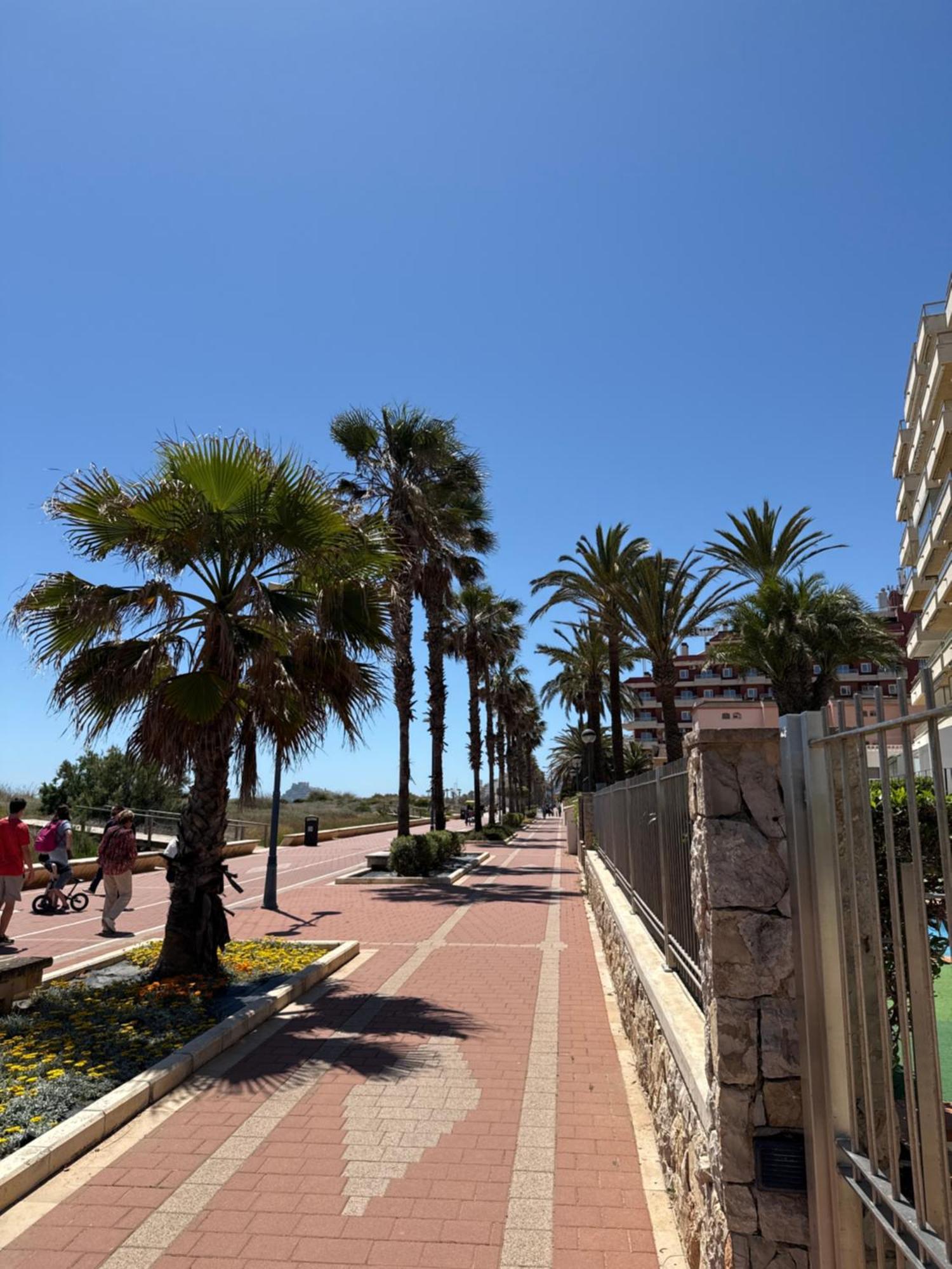 Fantastico Apartamento Con Vistas Al Mar Peñíscola Exteriör bild